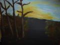 DSC03588