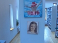 DSC03329
