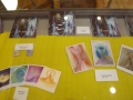 DSCF4173