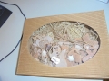 DSC01080